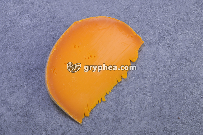 Un fromage à pâte pressée et cuite - la mimolette - gryphea.com